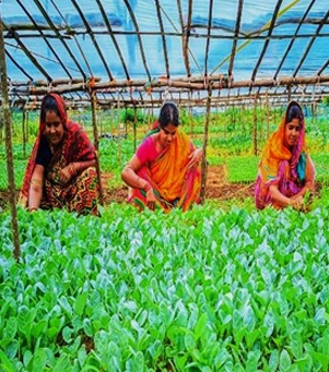 Women empowerment story